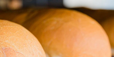 Qual'è l'azione del lievito di birra nell'impasto?