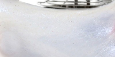 Che cos'è la "maglia glutinica"?