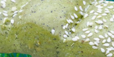 L'Alga Spirulina